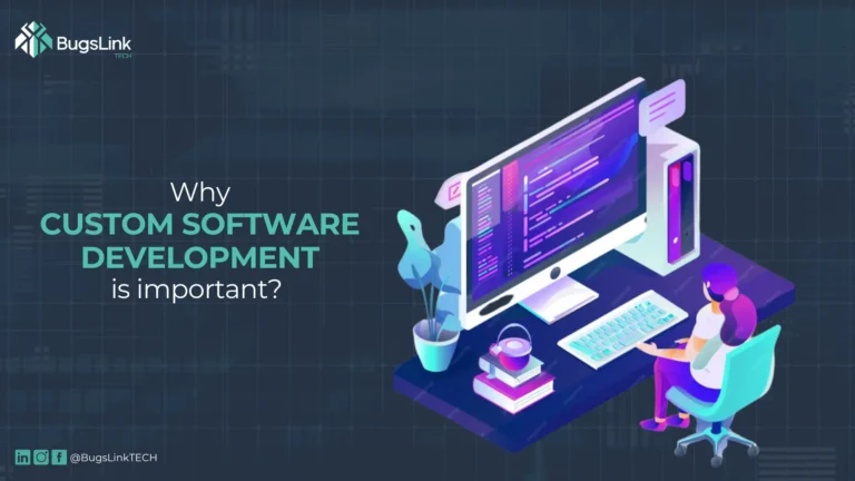 Why Custom Software Development is Important